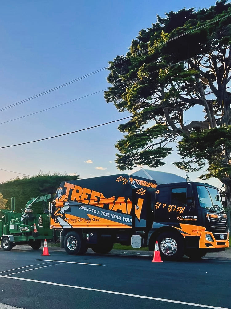 A custom Chipper Tipper build for Treeman Melbourne with behind cab toolbox, built by Metro Truck Body Builders in Seaford Victoria